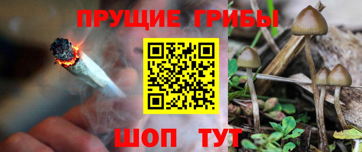 где купить наркоту  Галлюциногенные грибы мухоморы  Галлюциногенные грибы Magic Shrooms  Вход с VPN  Людиново 